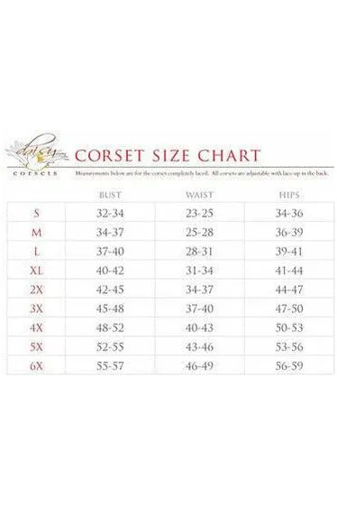 Lavish 4 PC Gothic Devil Corset Costume